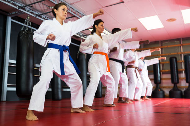 Martial arts group training